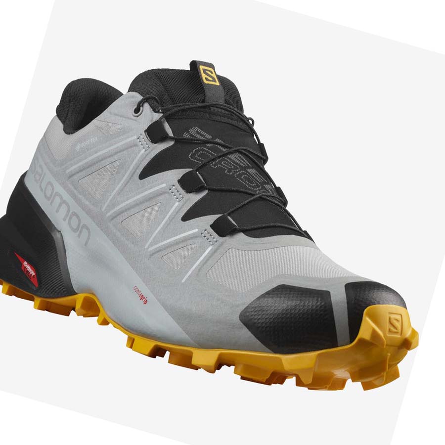 Salomon SPEEDCROSS 5 GORE-TEX Trail Futócipő Férfi Fekete Szürke | HU 2116UZG